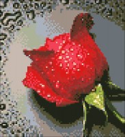 Набор для изготовления картины  (алмазная мозаика-вышивка) Красная Роза