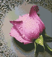 Набор для изготовления картины  (алмазная мозаика-вышивка) Розовая  роза