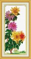 Набор для вышивания  Хризантемы (Chrysanthemum) /100816