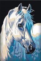 Набор для создания картины с алмазными стразами  Белая лошадка /CKC008