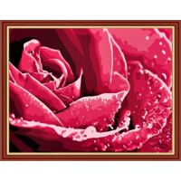 Набор для создания картины с алмазными стразами Розы цвет