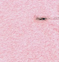 Обратная сторона наволочки на молнии (розовый барашек) /2015