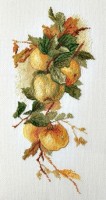 Набор для вышивания Аромат яблок. По рисунку Катарины Кляйн /06-002-43