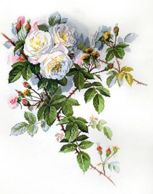 Набор для вышивания Белые розы по рисунку Пауля де Лонгпре