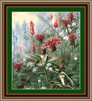 Набор для вышивания Колибри (Monardia-Hummingbirds)