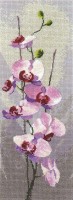 Набор для вышивания Орхидеи. Цветочные панели /686-JCOR