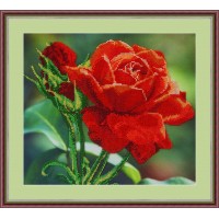 Набор для вышивания бисером Красная роза