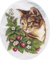 Набор для вышивания Кошка в клубнике /8-174