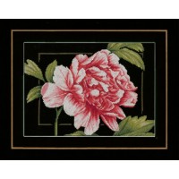 Набор для вышивания Роза (Pink Rose) канва /PN-0155749
