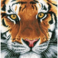 Набор для вышивания Тигр (Tygr) на ткани