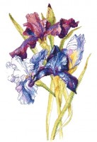Набор для вышивания Радуга ирисов (Irises Rainbow)