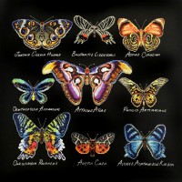 Набор для вышивания Бабочки (Butterflies)