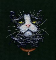 Набор для вышивания Кошачий фаворит (Kats Favourite) /M576