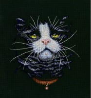 Набор для вышивания Кошачий фаворит (Kats Favourite)