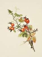 Набор для вышивания Осенний шиповник (Autumn Briar) /04-001-05