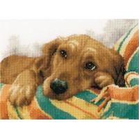 Набор для вышивания Собака (Little Rascal) /PN-0157432