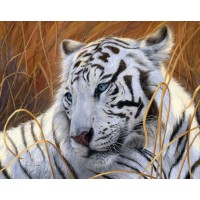 Набор для изготовления картины стразами (алмазная мозаика-вышивка) Белый тигр