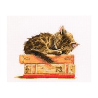 Набор для вышивания Сны Мурлыки (Cat dream) /M642
