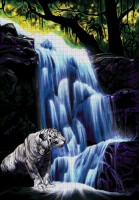 Тигр у водопада /40-5888-НТ
