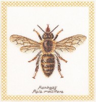 Медоносная пчела (лен)