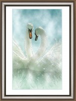 Белые лебеди Crystal Art /КС-1039