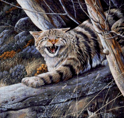 Лесной кот