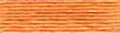 мулине DMC-3825