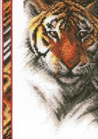 Тигр (Tiger) /013-0261