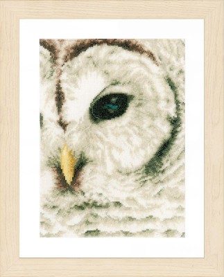 Набор для вышивания Сова (Owl)