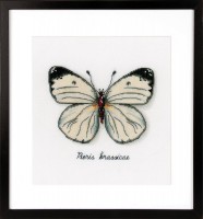 Белая бабочка /PN-0165233