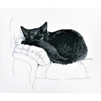 Среди черных котов (Among black cats)