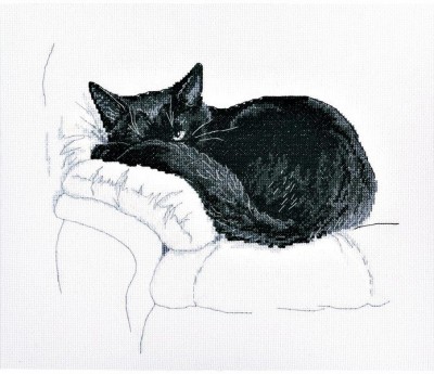 Среди черных котов (Among black cats)