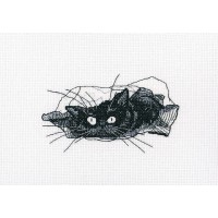 Среди черных котов (Among black cats)