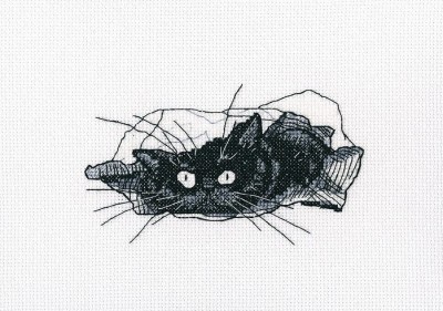 Среди черных котов (Among black cats)