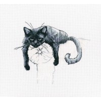 Среди черных котов (Among black cats)