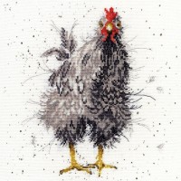 Любопытная курица (Curious Hen) /XHD17