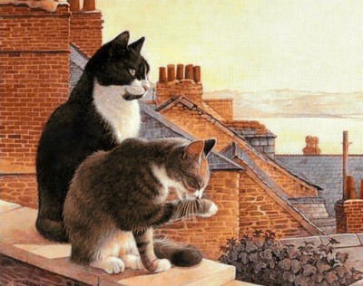 Коты на крыше
