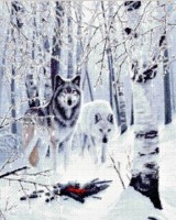 Набор для вышивания крестом Волки в зимнем лесу (Winter Wolves) /99897