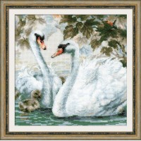Белые лебеди /1726