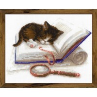 Котенок на книжке /1725