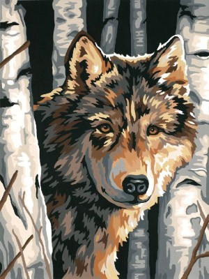 Раскраска (рисование по номерам) Волк среди берез