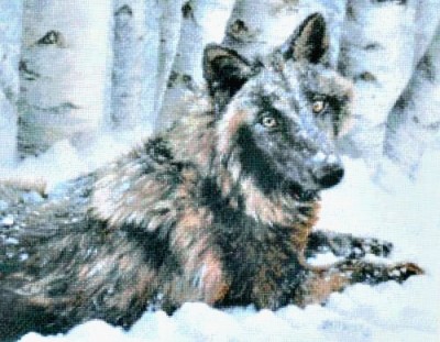 Набор для вышивания крестом Белла черная волчица (Bella Black Wolf)