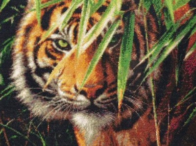 Набор для вышивания крестом Ожидающий тигр (Tiger)