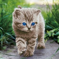 Кристальная мозаика (алмазная вышивка) Котенок на прогулке /ALV-12