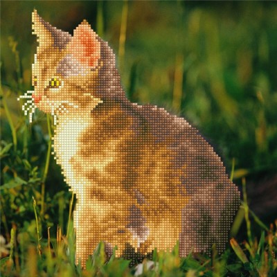 Кристальная мозаика (алмазная вышивка) Любознательный котенок