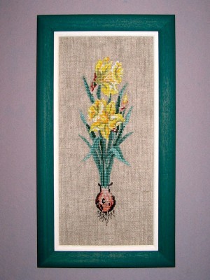 Желтый нарцисс Желтый нарцисс