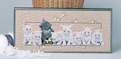 Котята