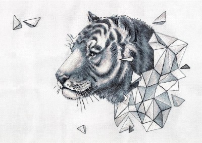 Геометрия. Тигр