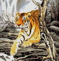 тигр в горах