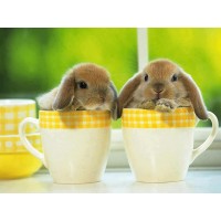 Кролики в чашках /DS809